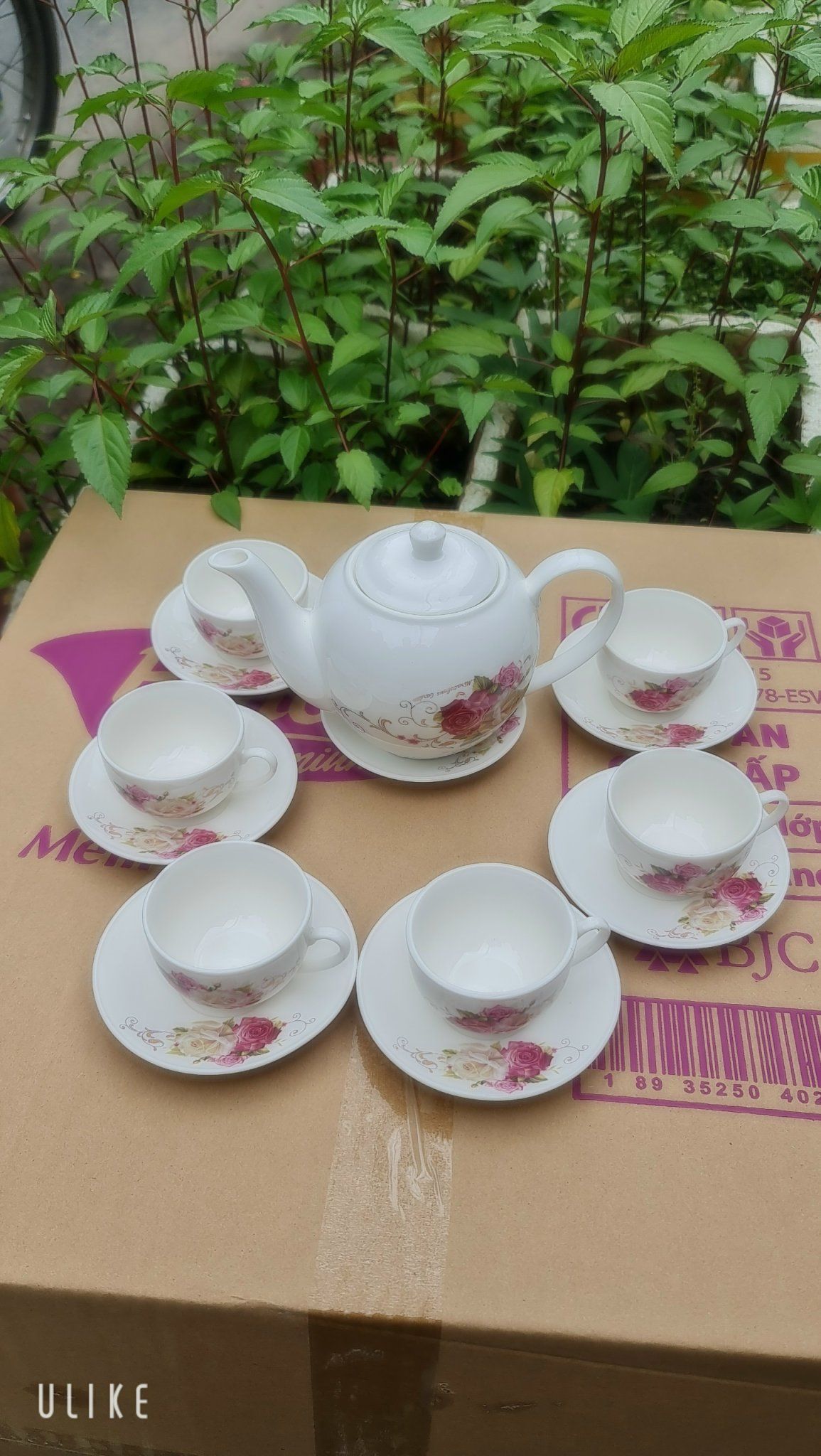 BỘ TÁCH TRÀ CAMELIA sứ Hàn Quốc